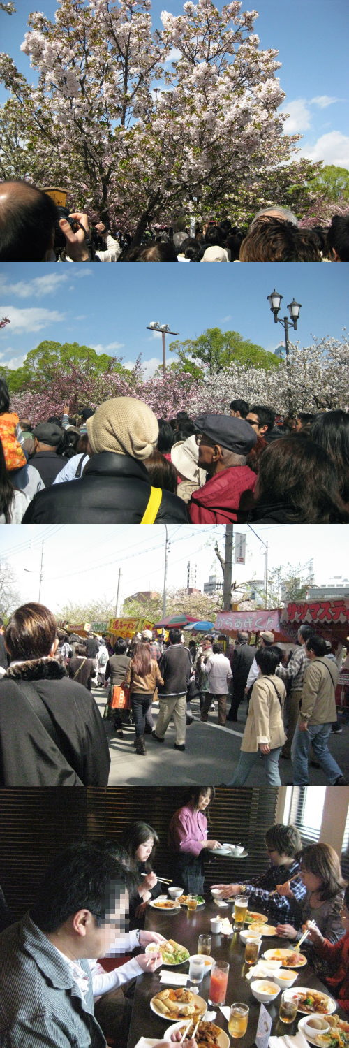 「造幣局　桜の通り抜け」